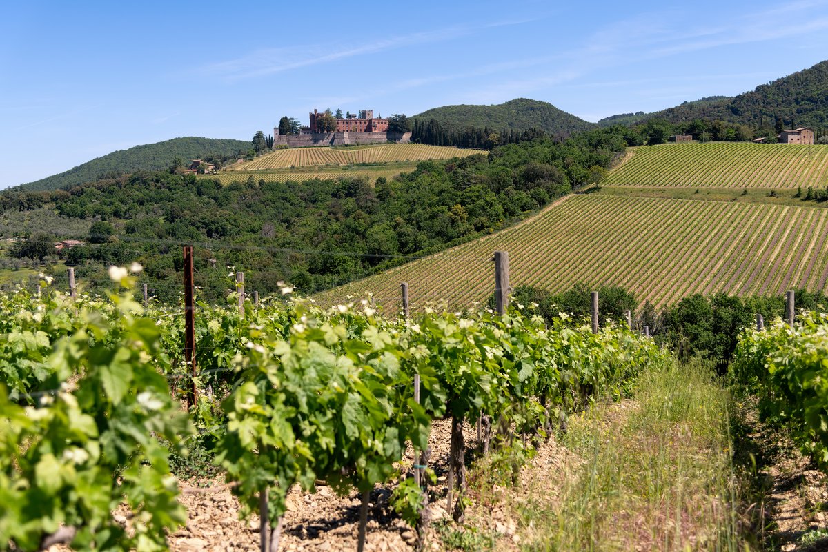 The Castello di Brolio on its hill above the vineyards of the Chianti