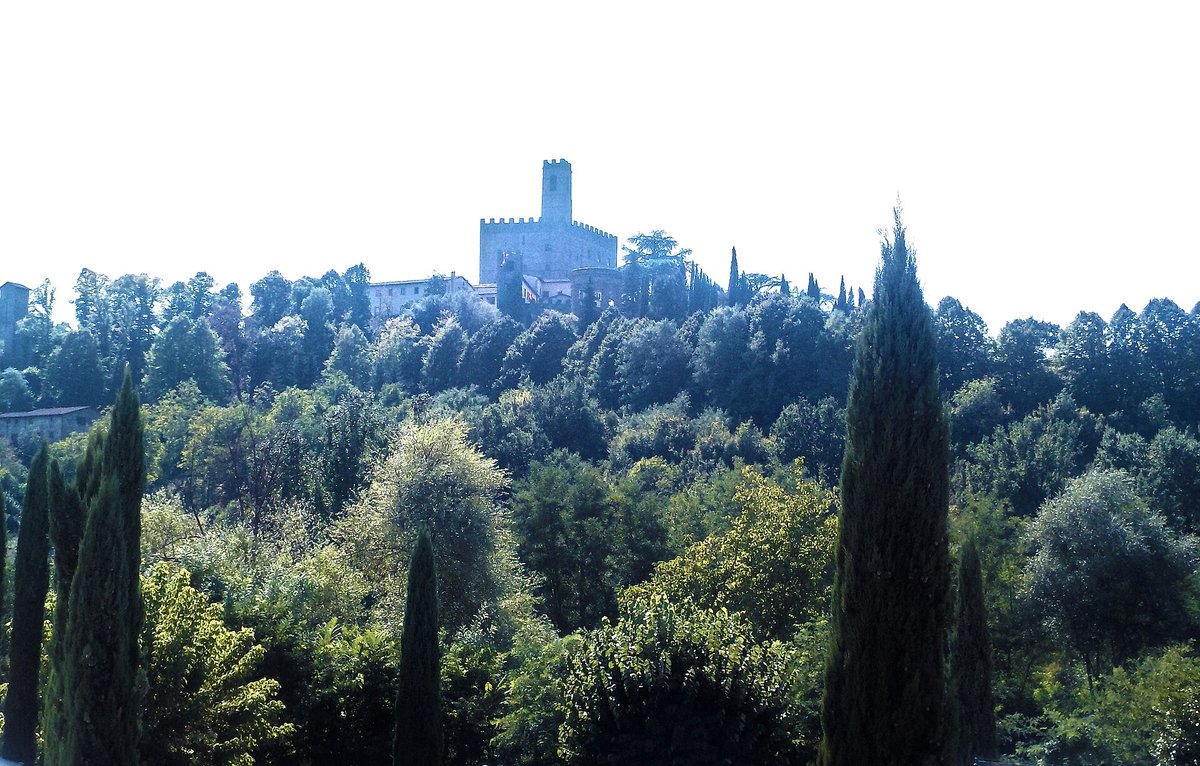 The castle of Poppi on its wooded hill with cypresses